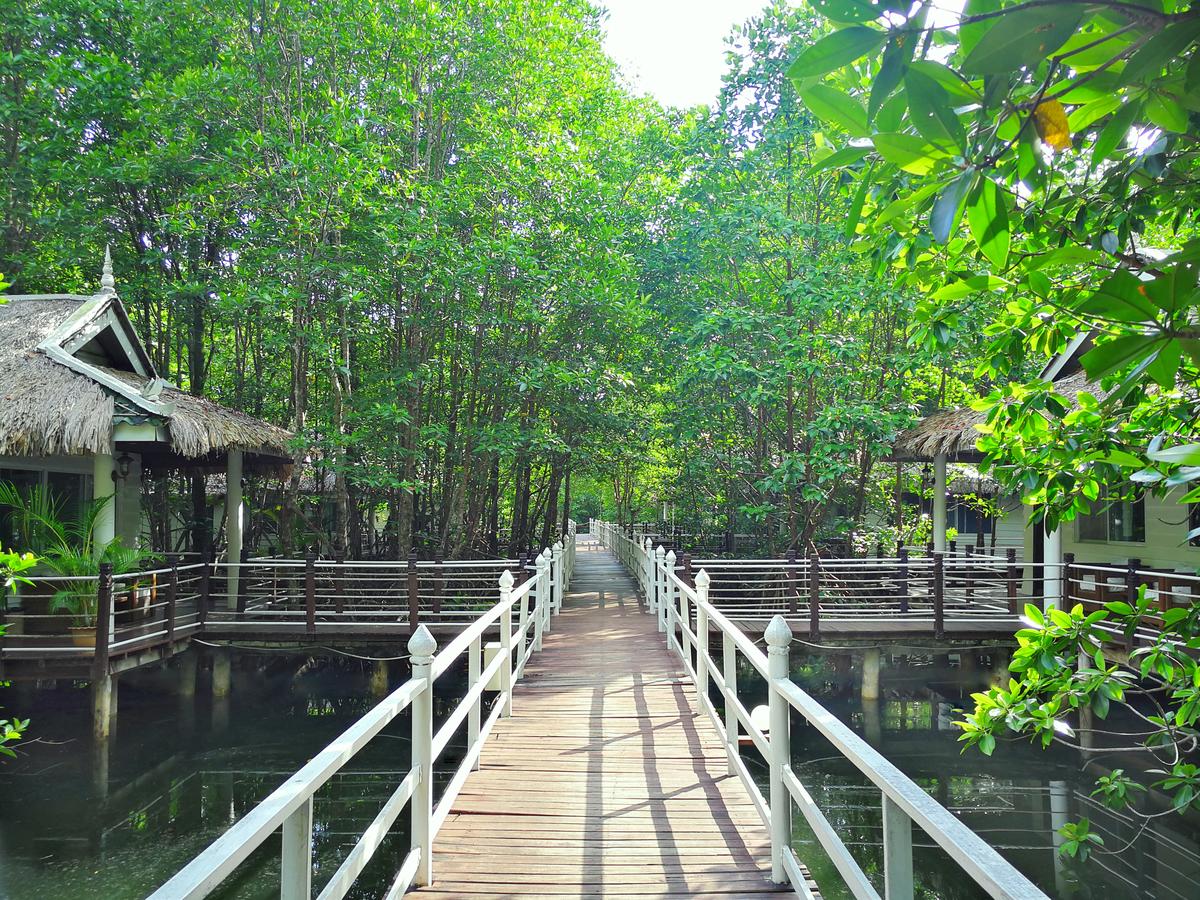 attraction-Mangrove Forest Koh Kong 4.jpg